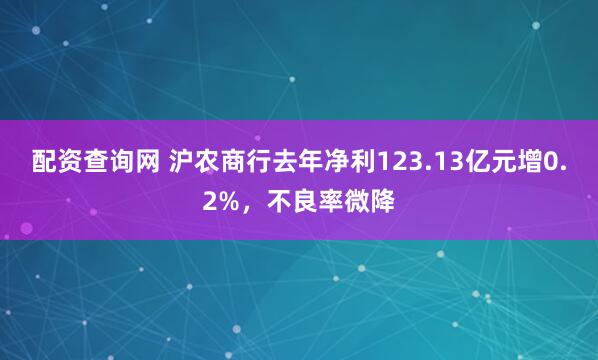 配资查询网 沪农商行去年净利123.13亿元增0.2%，不良率微降